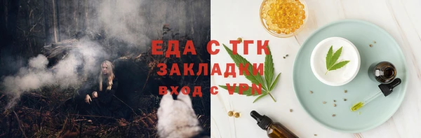 гашик Арсеньев