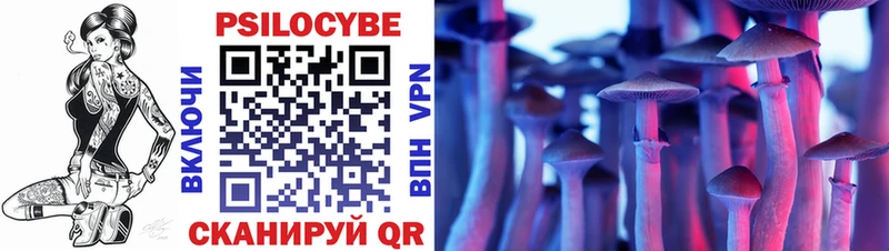 Купить где  Кропоткин  Псилоцибиновые грибы мицелий 